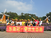 微信公眾號(hào)